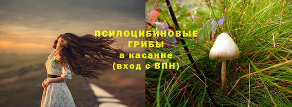ECSTASY Армянск